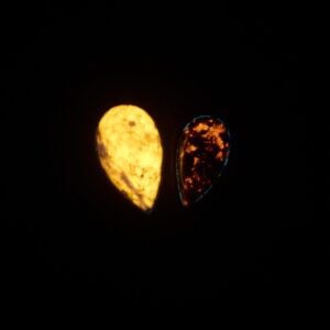 Autorský fluorescentní náhrdelník - kámen, dřevo - J012