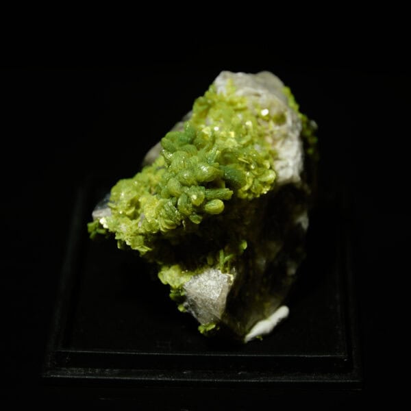 autunit, Aldeia Nova, Portugalsko 120g - Image 12