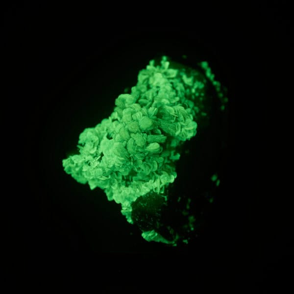 autunit, Aldeia Nova, Portugalsko 120g - Image 13