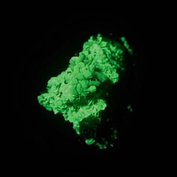 autunit, Aldeia Nova, Portugalsko 120g - Image 14