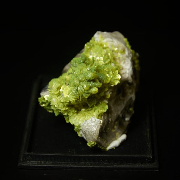 autunit, Aldeia Nova, Portugalsko 120g - Image 11