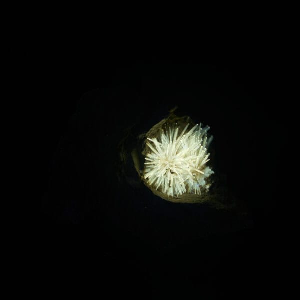 acikulární aragonit, Pantoja, 36g