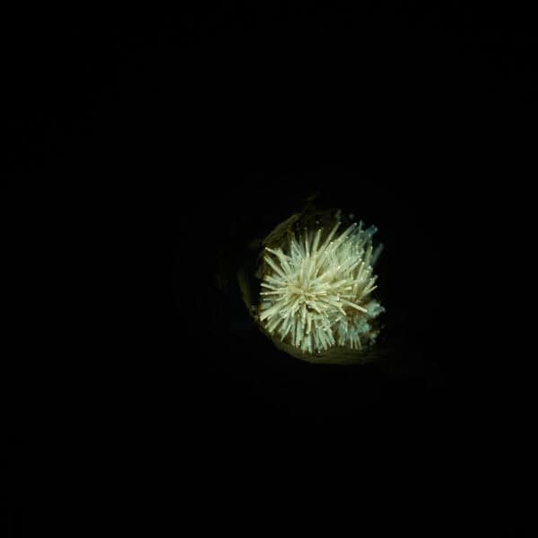 acikulární aragonit, Pantoja, 36g - Image 7